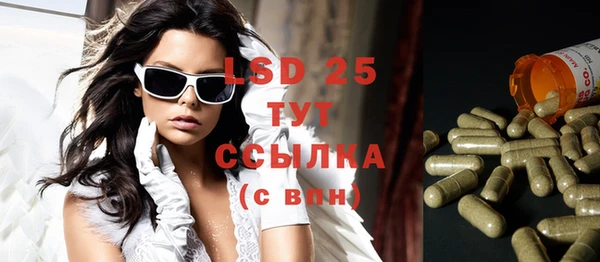 стаф Верея
