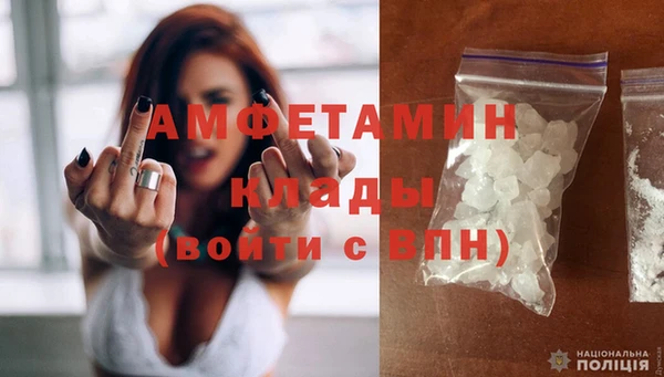 стаф Верея
