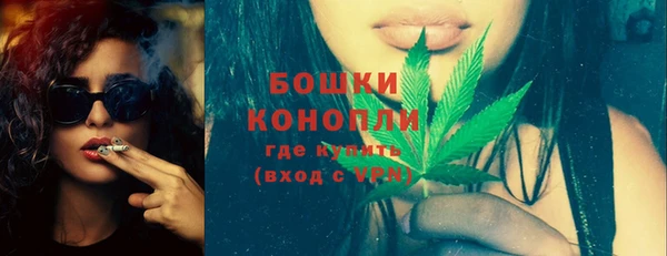стаф Верея
