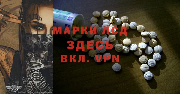 стаф Верея