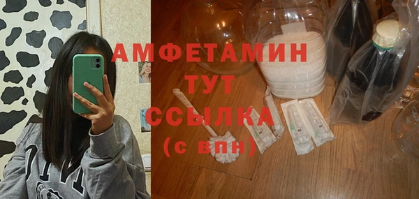 стаф Верея