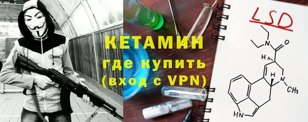 стаф Верея