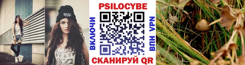 купить закладку hydra онион Галлюциногенные грибы Psilocybine cubensis Отрадное